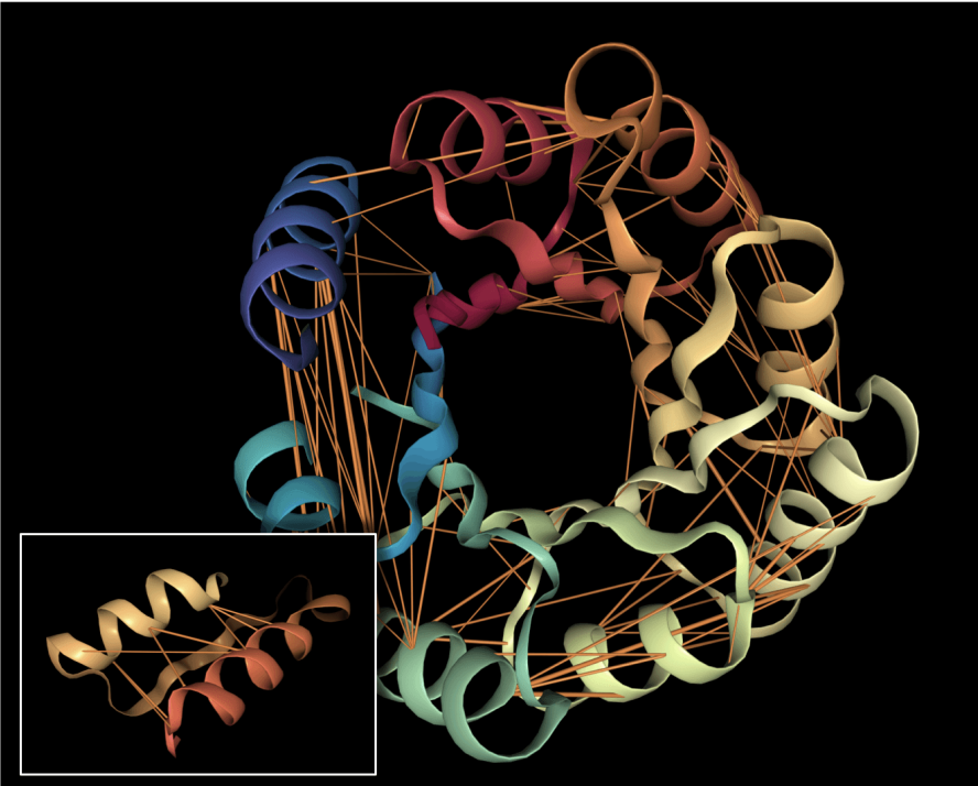 BERTology Meets Biology