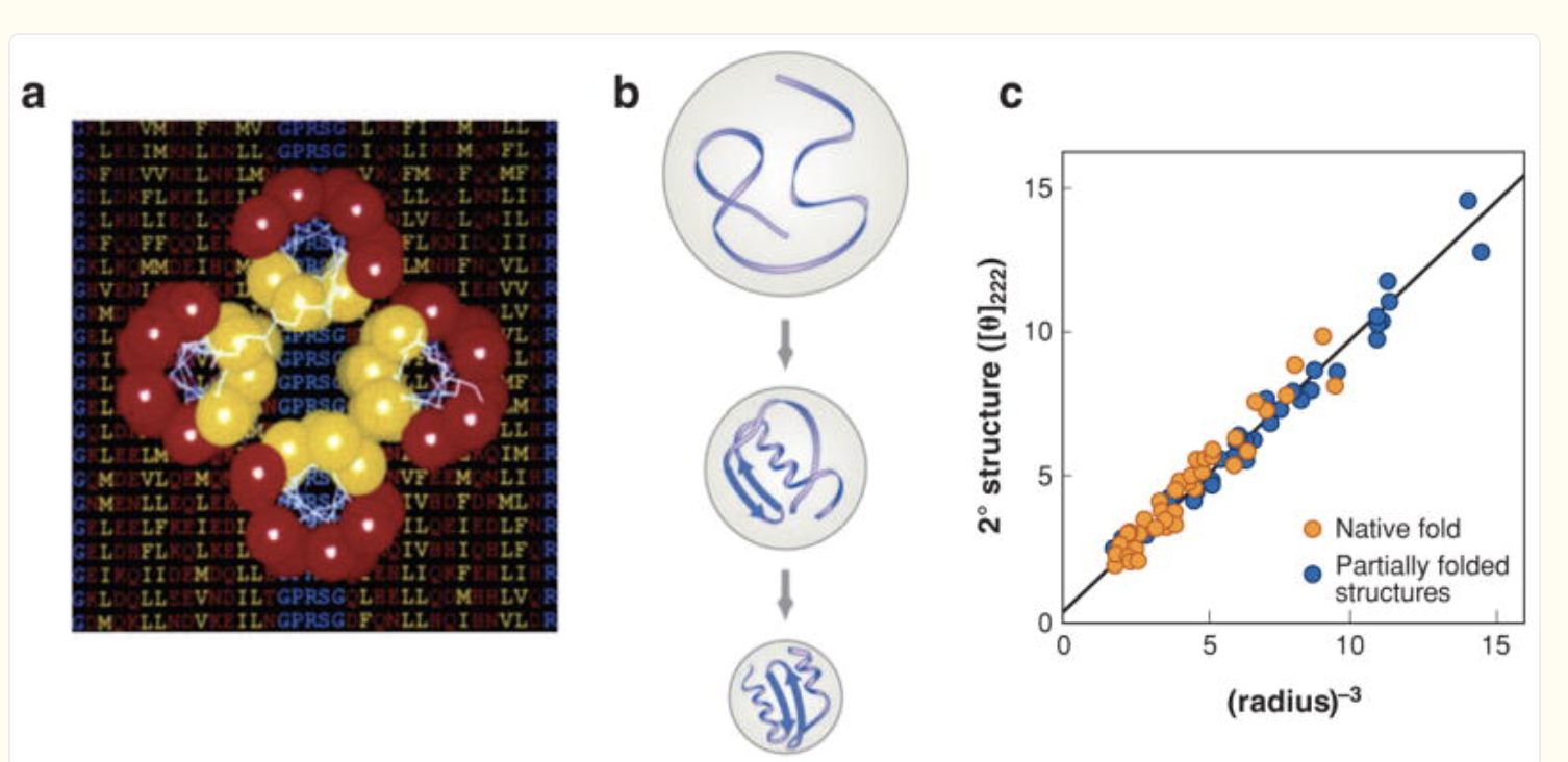 The Protein Folding Problem